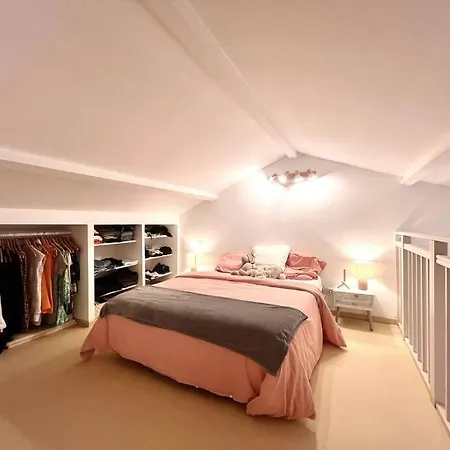 Apartment De Charme Avec Mezzanine *