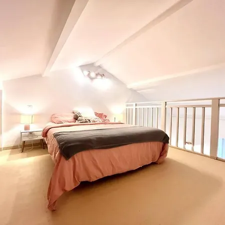 Apartment De Charme Avec Mezzanine